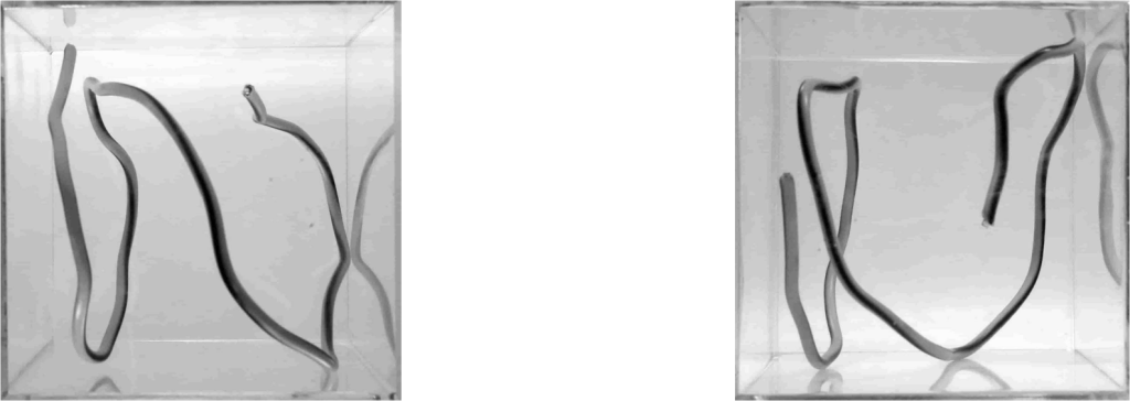 TMS HERO Schlauchfiguren Testsimulation