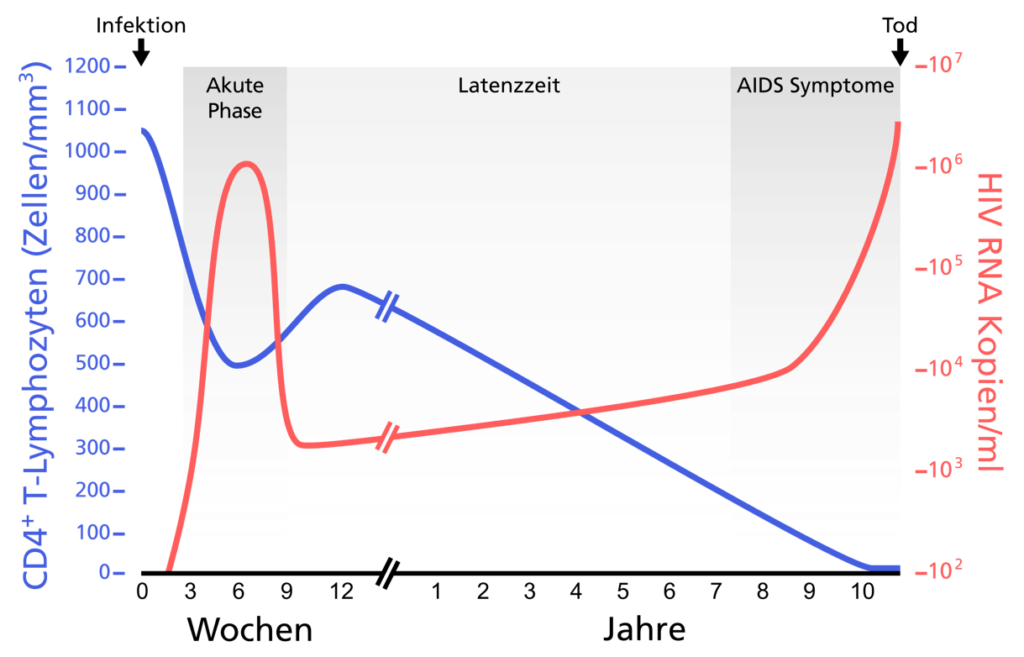 TMS HERO DiaTab Testsimulation