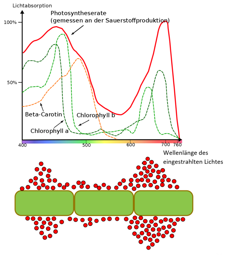 TMS HERO DiaTab Testsimulation